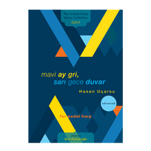 Load image into Gallery viewer, Hasan Uçarsu - mavi ay gri, sarı gece duvar