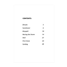 Load image into Gallery viewer, Martha Hill Duncan - Precipitations