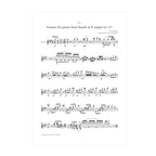 W.A. Mozart - Sonata for piano four-hands in F major KV. 497 trans. guitar duo