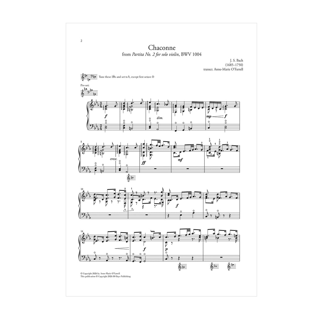 J. S. Bach - Chaconne from Partita No. 2 for solo violin, BWV 1004 arr. for lever harp