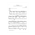 J. S. Bach - Chaconne from Partita No. 2 for solo violin, BWV 1004 arr. for lever harp