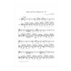 Mozart - Dans un bois solitaire KV.308 transcribed for voice and guitar DOWNLOAD