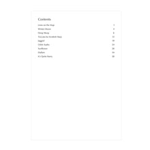 Load image into Gallery viewer, Fiona Rutherford - The Scottish Harp: New Times and Tunes Vol. 2
