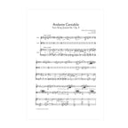 Tchaikovsky - Andante Cantabile arr. fl., vla. (or cl.) and harp by Nicholas Ellis