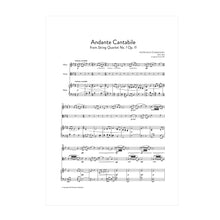 Load image into Gallery viewer, Tchaikovsky - Andante Cantabile arr. fl., vla. (or cl.) and harp by Nicholas Ellis
