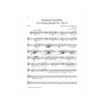 Tchaikovsky - Andante Cantabile arr. fl., vla. (or cl.) and harp by Nicholas Ellis