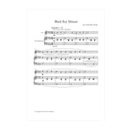 Joey Lieber and Ben Tweedt - Simply Blues: A Black Key Exploration