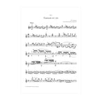 Mozart - Fantasie KV 608 arr. two guitars