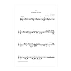 Mozart - Fantasie KV 608 arr. two guitars