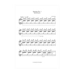 Teresa Richert - Seasons