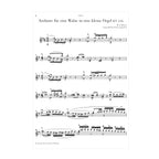 Mozart - Andante für eine Walze in eine kleine Orgel KV. 616 arr. two guitars