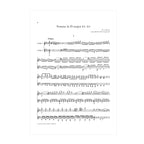 Mozart - Sonata in D major KV. 381 arr. two guitars